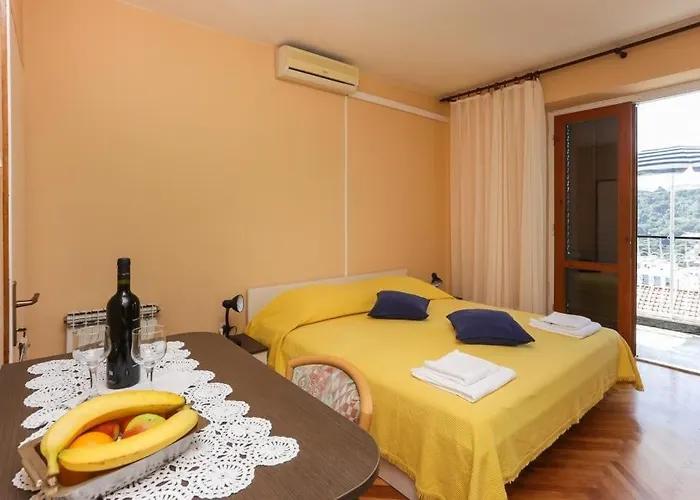 莱帕德美景公寓 招待所